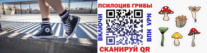 Псилоцибиновые грибы Cubensis  Купить где  Стародуб 